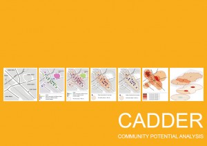 Community Potential Analysis Cadder